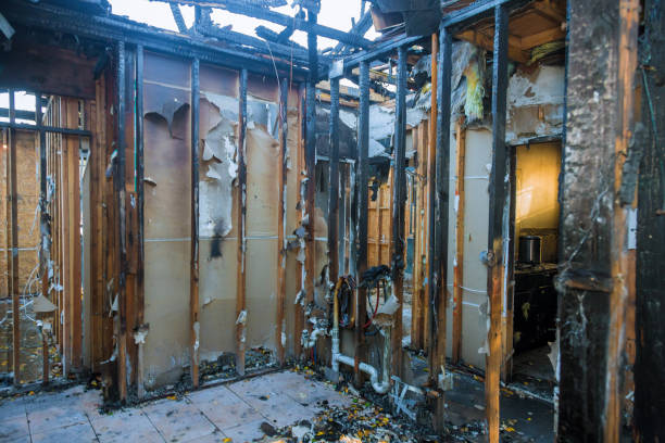 Professional Emergency Fire Cleanup technician working in Valrico, FL