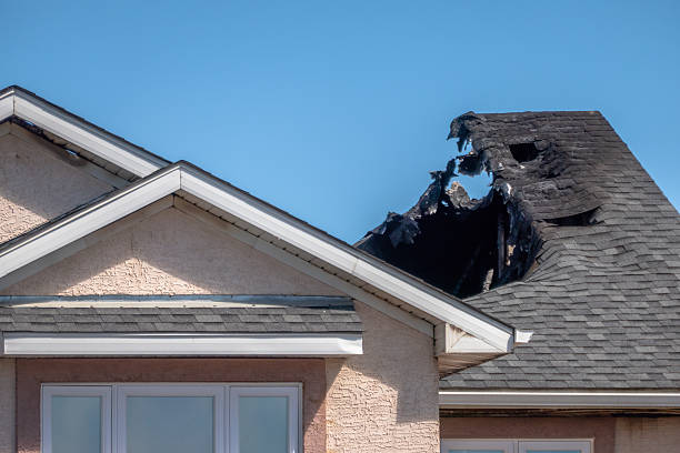 Top rated local Emergency Fire Cleanup specialists in Valrico, FL